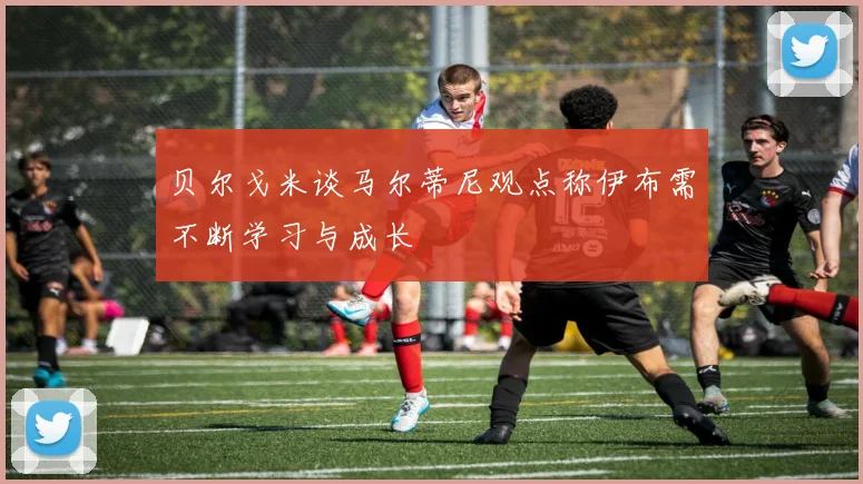 贝尔戈米谈马尔蒂尼观点称伊布需不断学习与成长